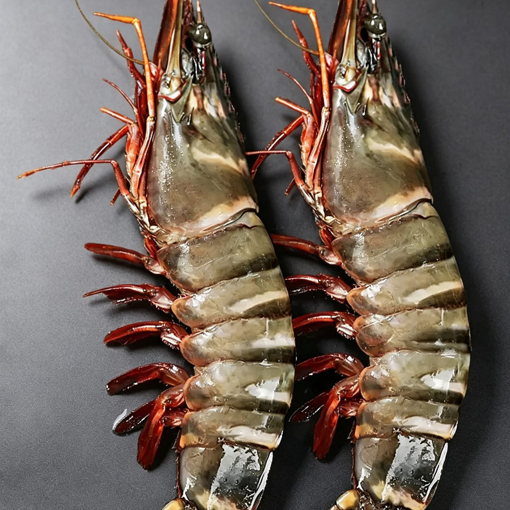 Frozen Giant Black Tiger Prawns
